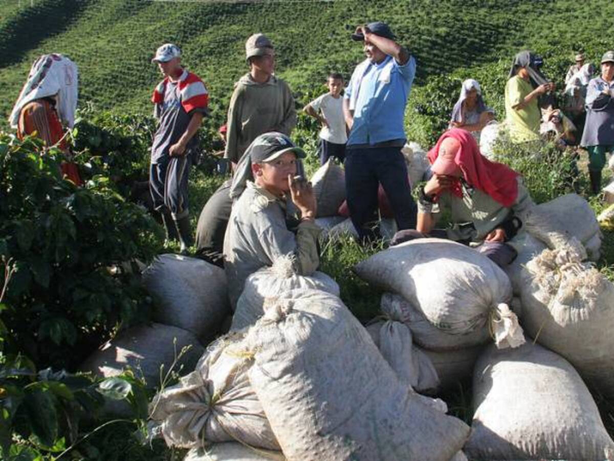 Cafeteros del Tolima preocupados por hechos de inseguridad