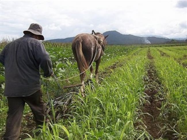 Gobierno instala Mesa Nacional de Alto Nivel para solucionar problemática agraria