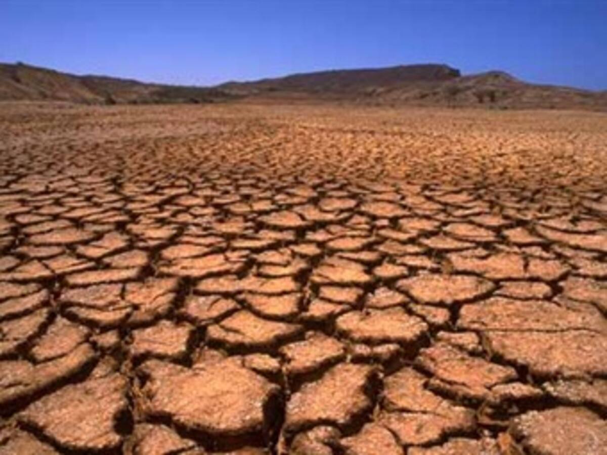 El 40 % del territorio mexicano ha tenido en 2011 la peor sequía en 70 años