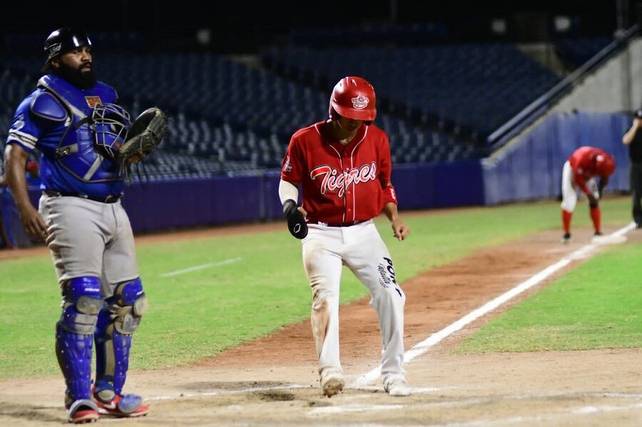 Tigres de Cartagena