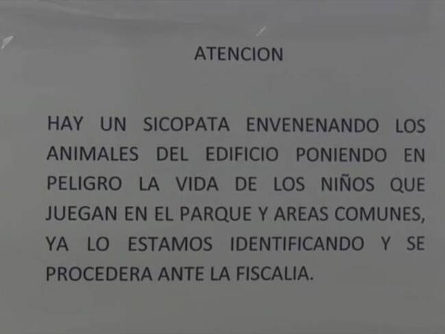 En Cartagena denuncian envenenamiento de gatos en Centro Histórico