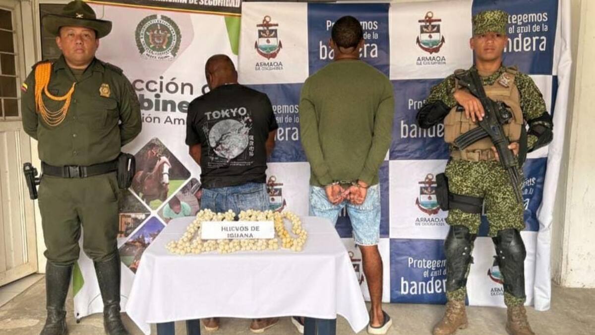 Policía incautó 1.300 unidades de huevos de iguana comercializados ilegalmente en Bolívar