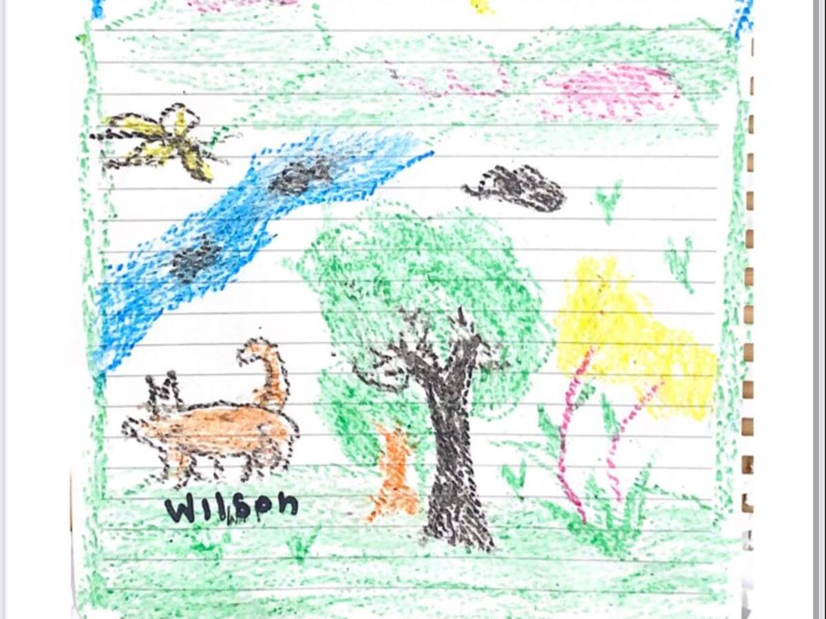 Abuela de los niños Mucutuy desmiente encuentro de ellos con Wilson, el perro rescatista