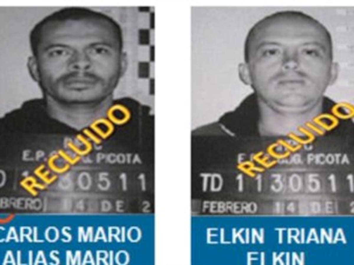 Aplicarán extinción de dominio a bienes de "Los Triana"