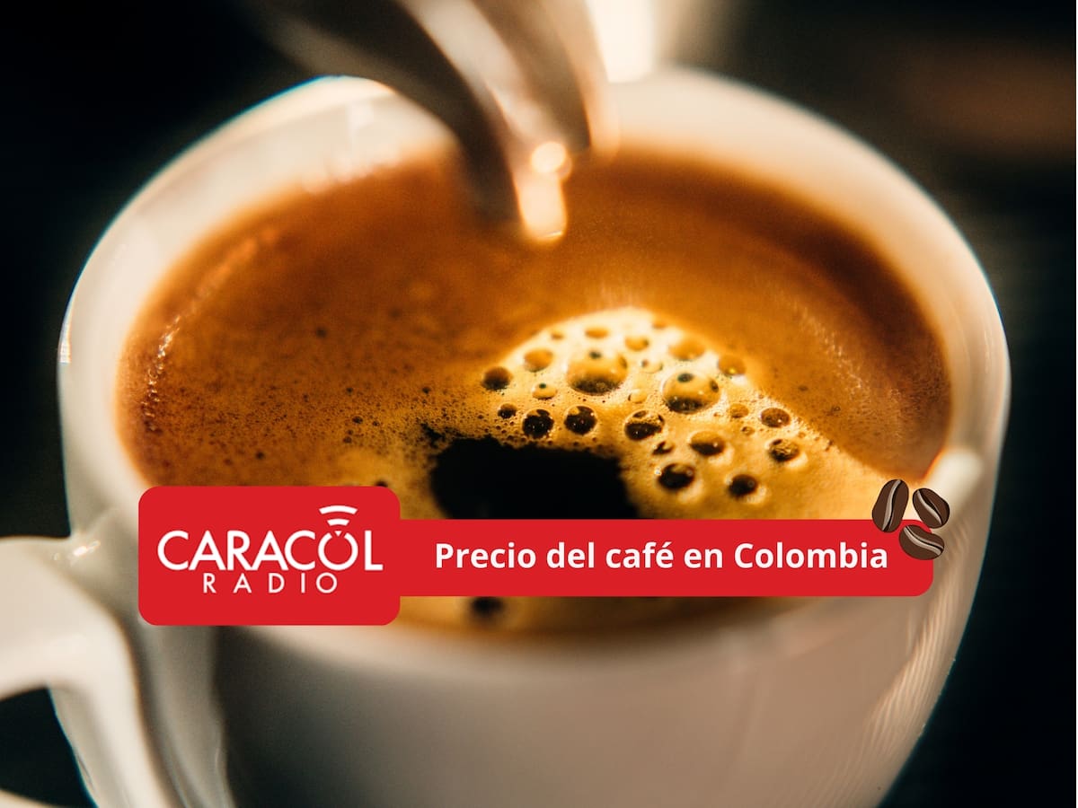 ¿Subió o bajó? Precio del café HOY 26 de febrero de 2026 en Colombia según FNC