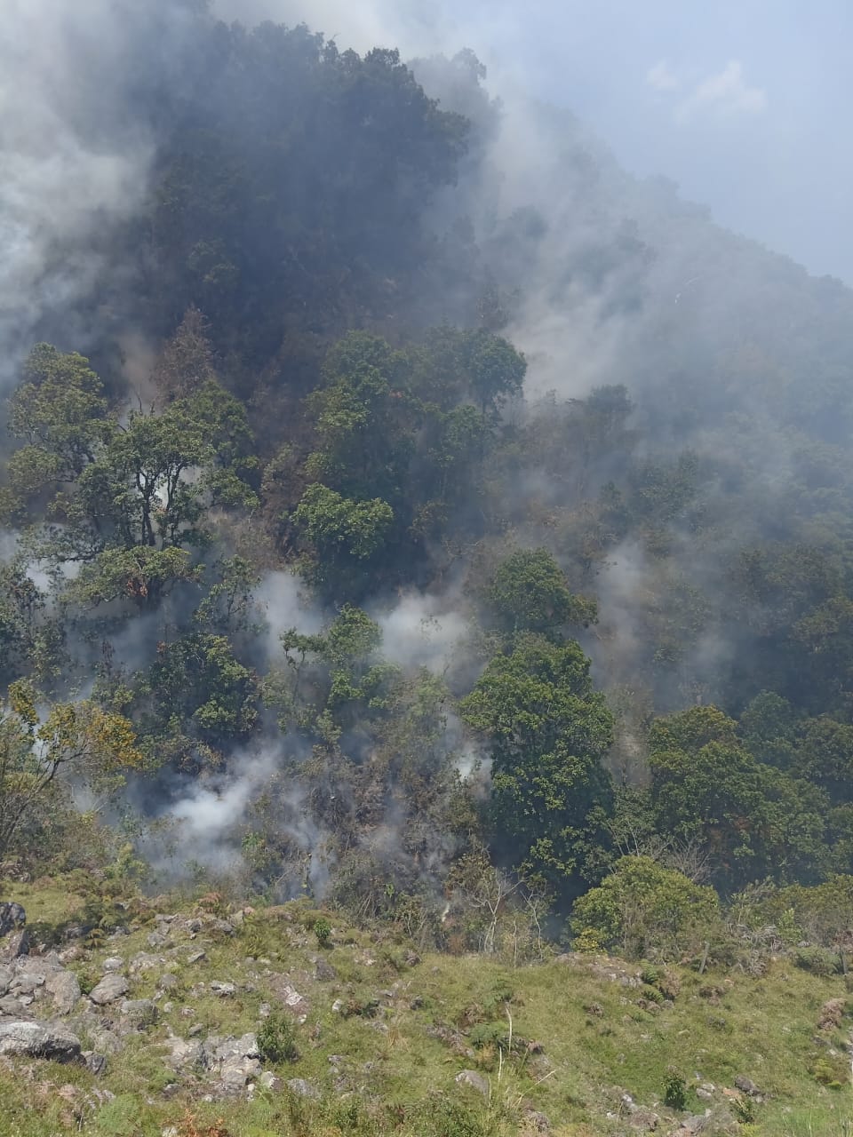 El incendio ha consumido entre 20 y 25 hectáreas, según estimaciones preliminares de los bomberos.