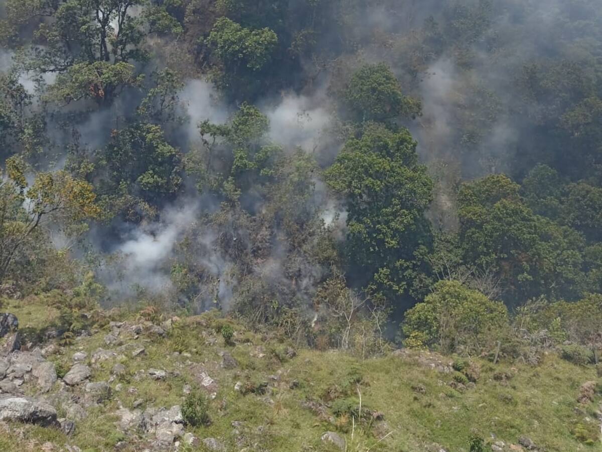 Incendio forestal en Paipa controlado en un 80%, según el comandante de bomberos