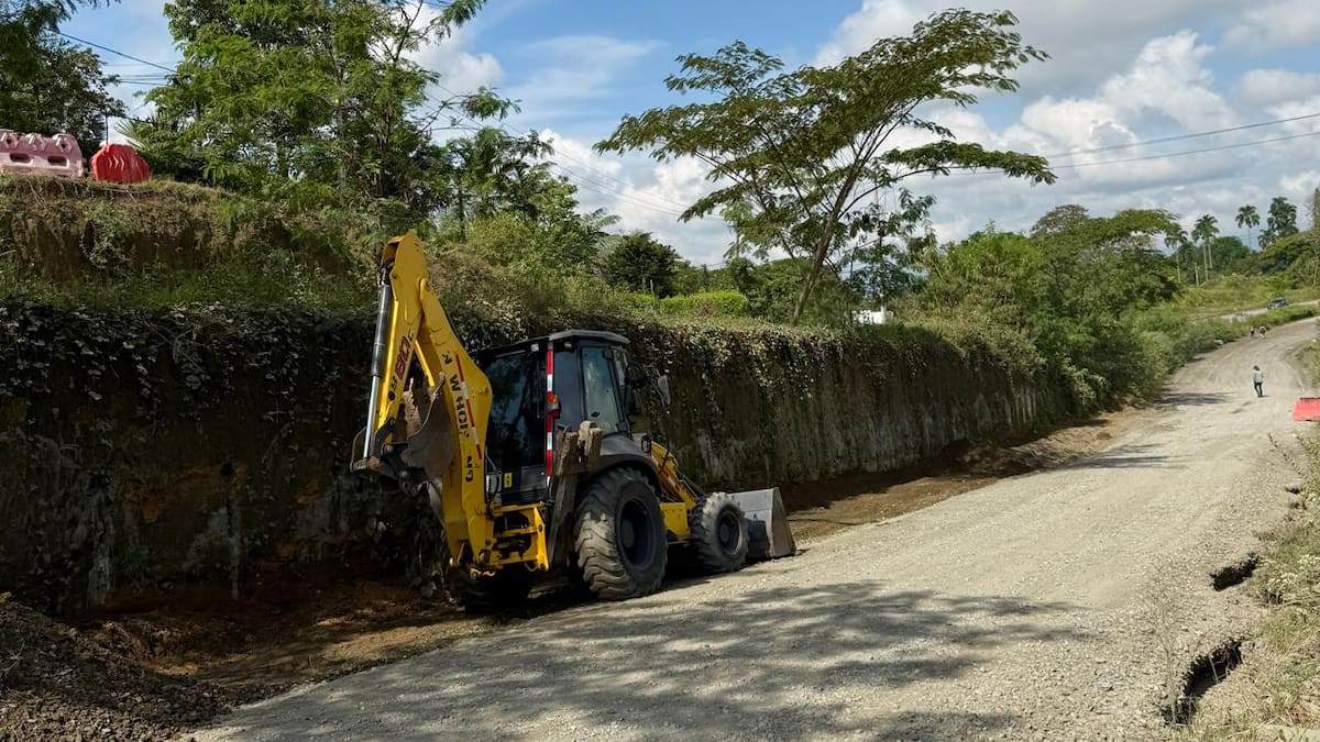 Ya se adjudicó el proyecto que permitirá terminar la Fase I de la Avenida Los Colibríes en Pereira