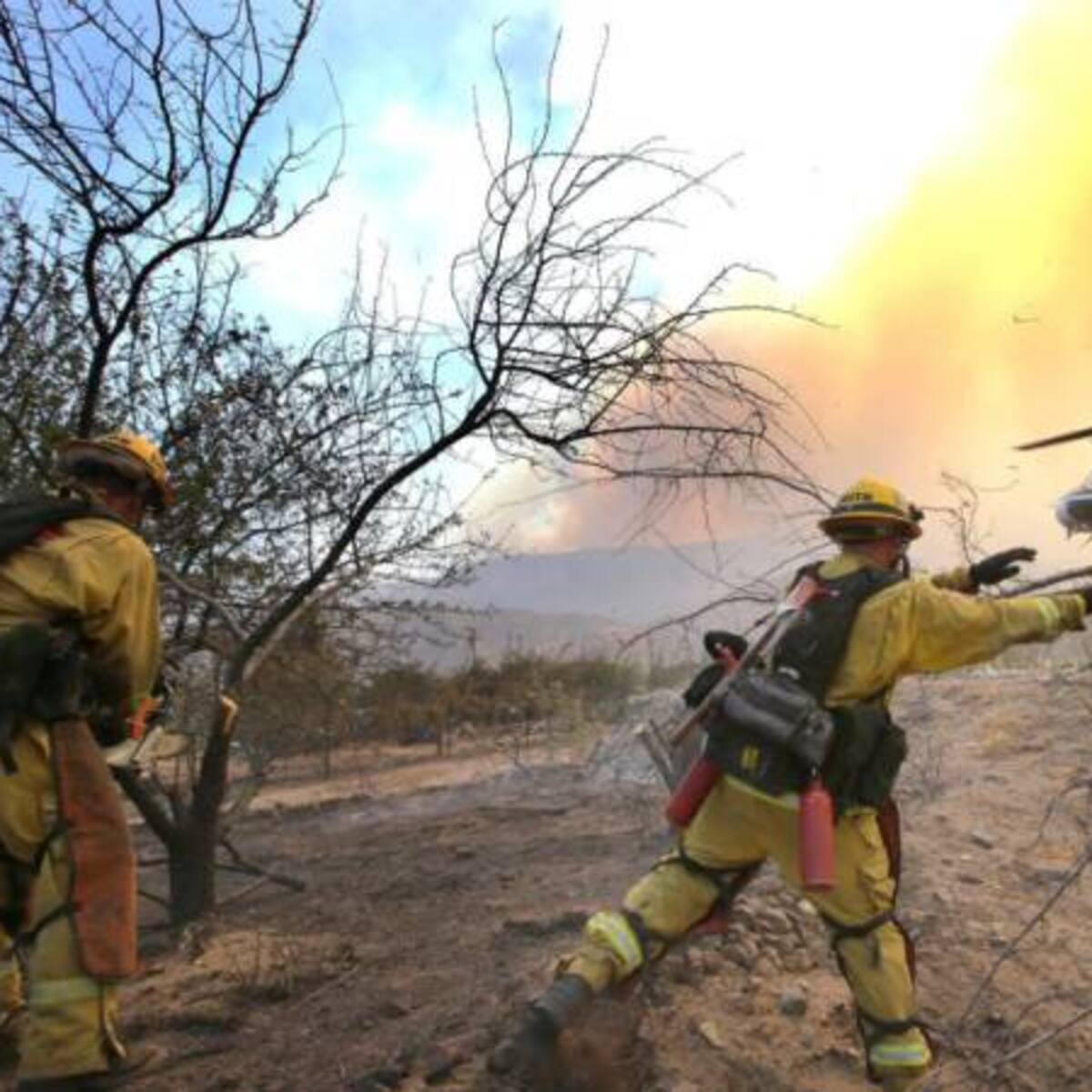 Familias de pereiranos huyen de las llamas en California