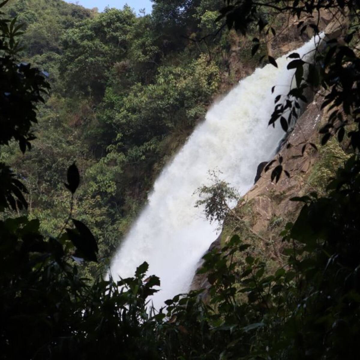 El Salto del Buey, una cascada de 100 metros en La Ceja