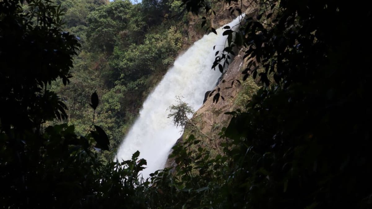 El Salto del Buey, una cascada de 100 metros en La Ceja