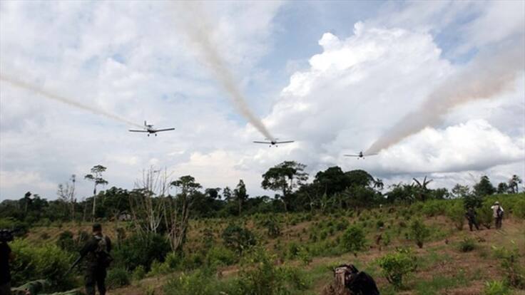 Santos anuncia suspensión de fumigaciones con glifosato