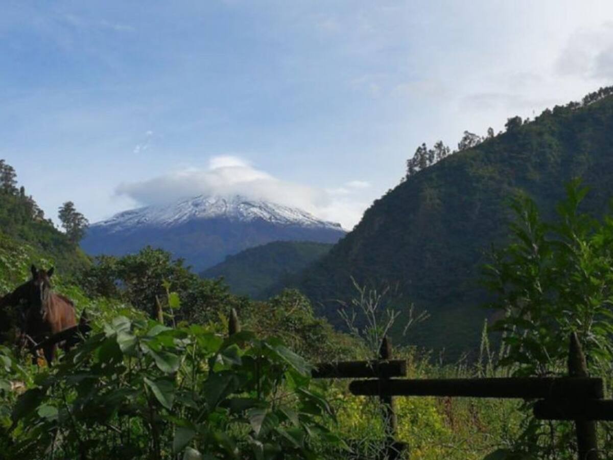 Parques Nacionales habilitó la ruta del sur para los turistas