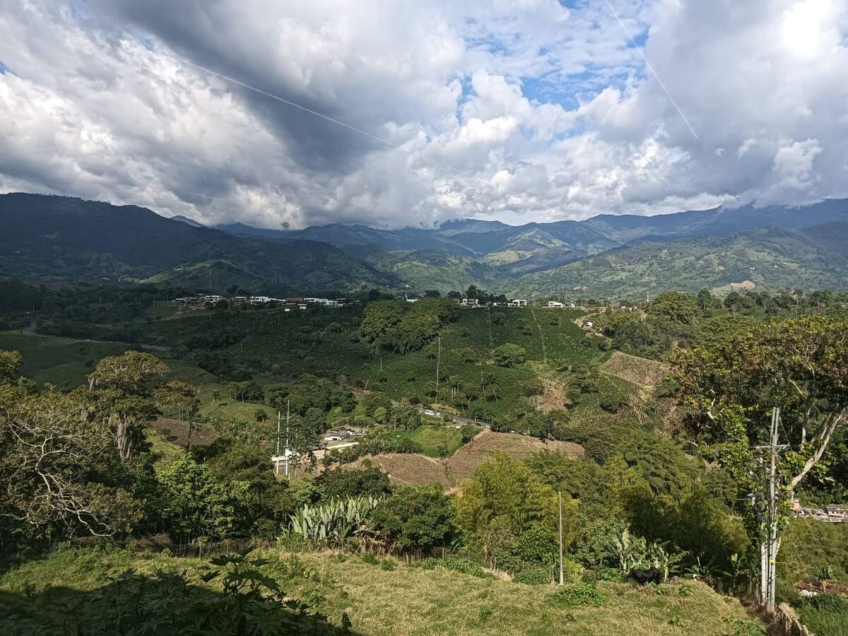 Paisaje Cultural Cafetero necesita plan de acción y gestión para proteger declaratoria de Unesco