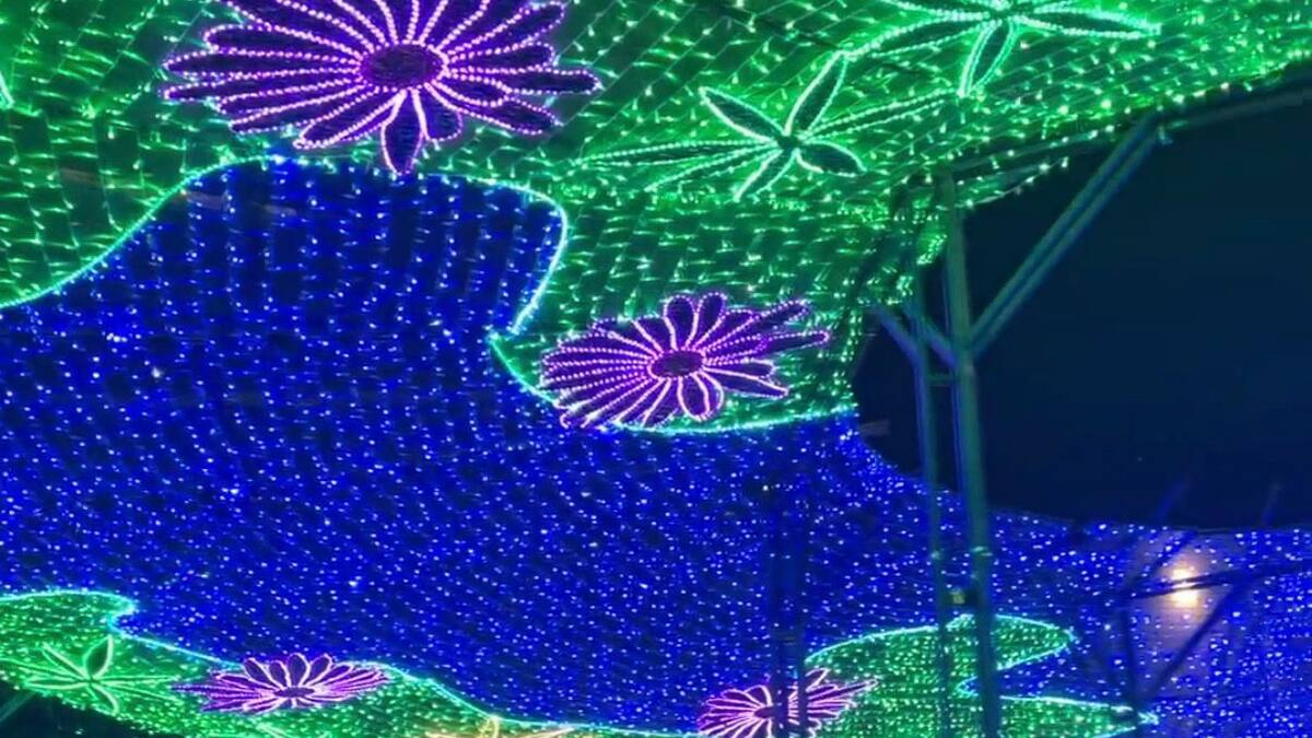 Manizales enciende la navidad