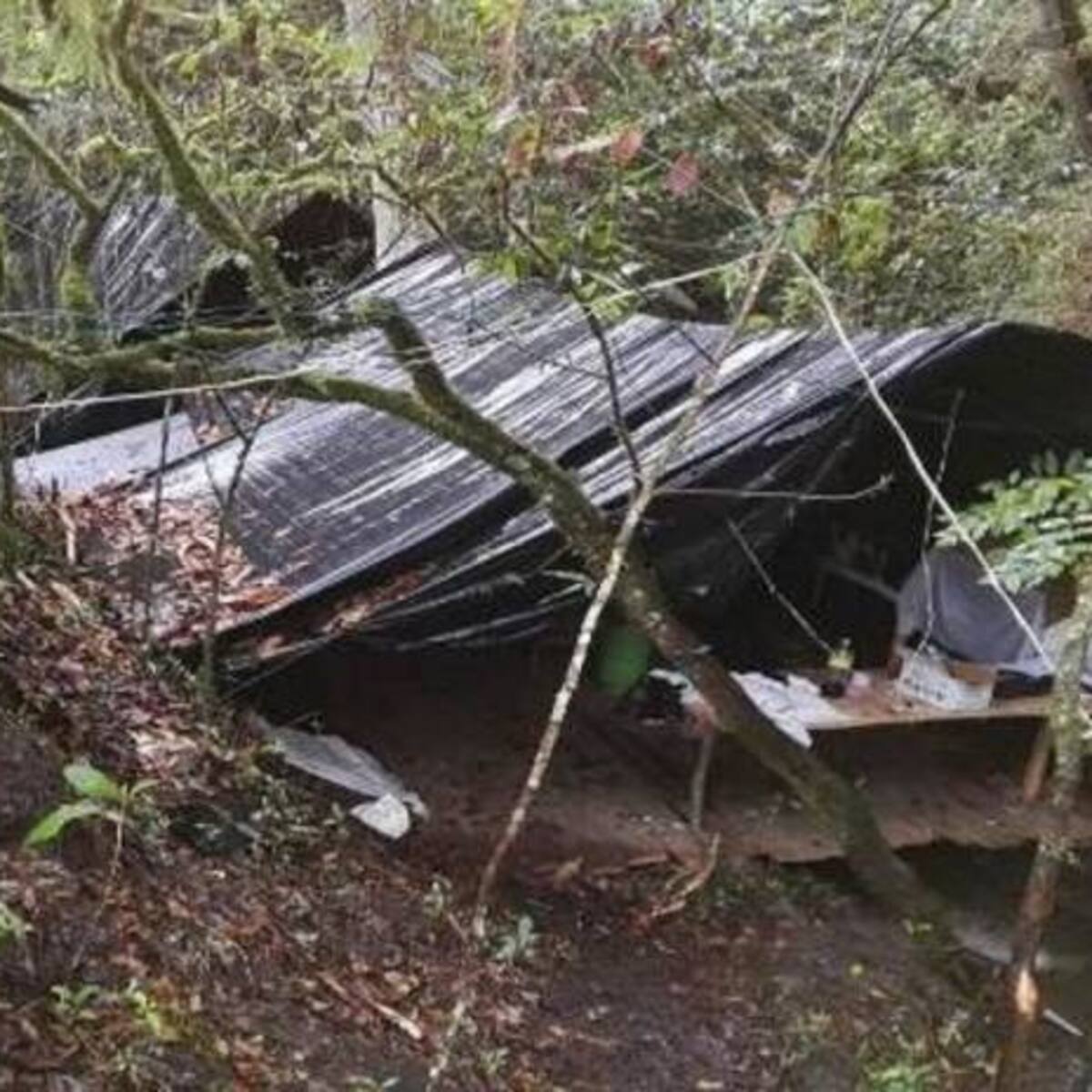 Policía destruyó laboratorio de cocaína en Guayatá, Boyacá