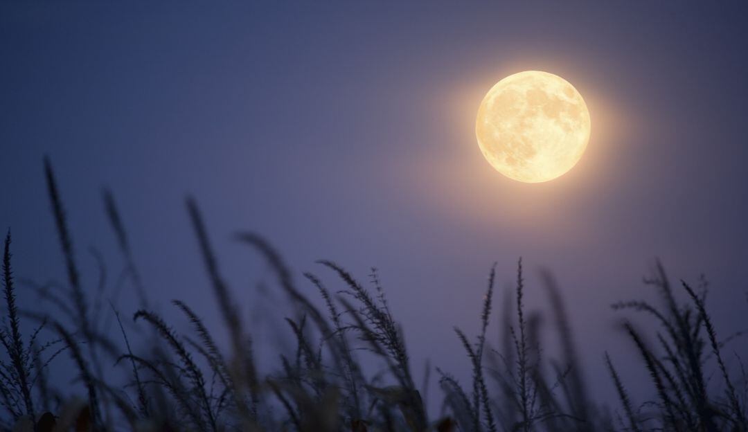 Luna de Cosecha 2022 en Colombia