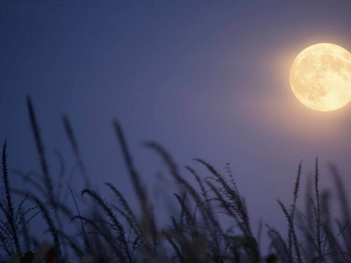 Luna de Cosecha 2022: significado, horario y como verla desde Colombia
