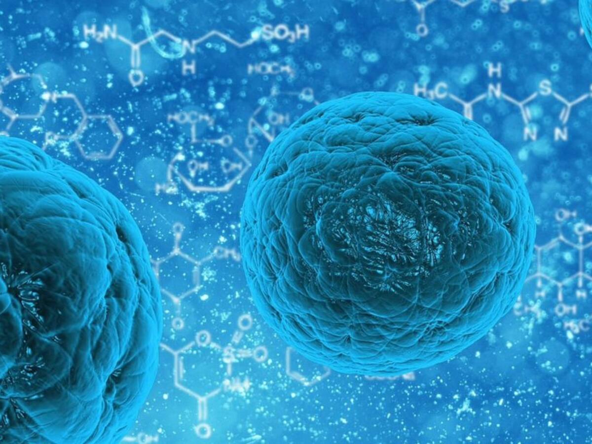 ¿Cómo influyen en nuestra salud los probióticos?