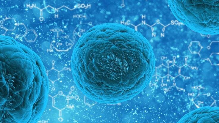 ¿Cómo influyen en nuestra salud los probióticos?