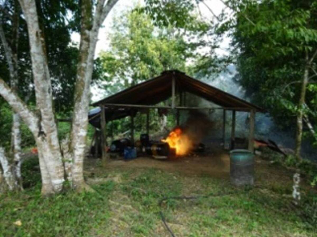 En Bolívar desmantelan diez laboratorios para el procesamiento de base de coca