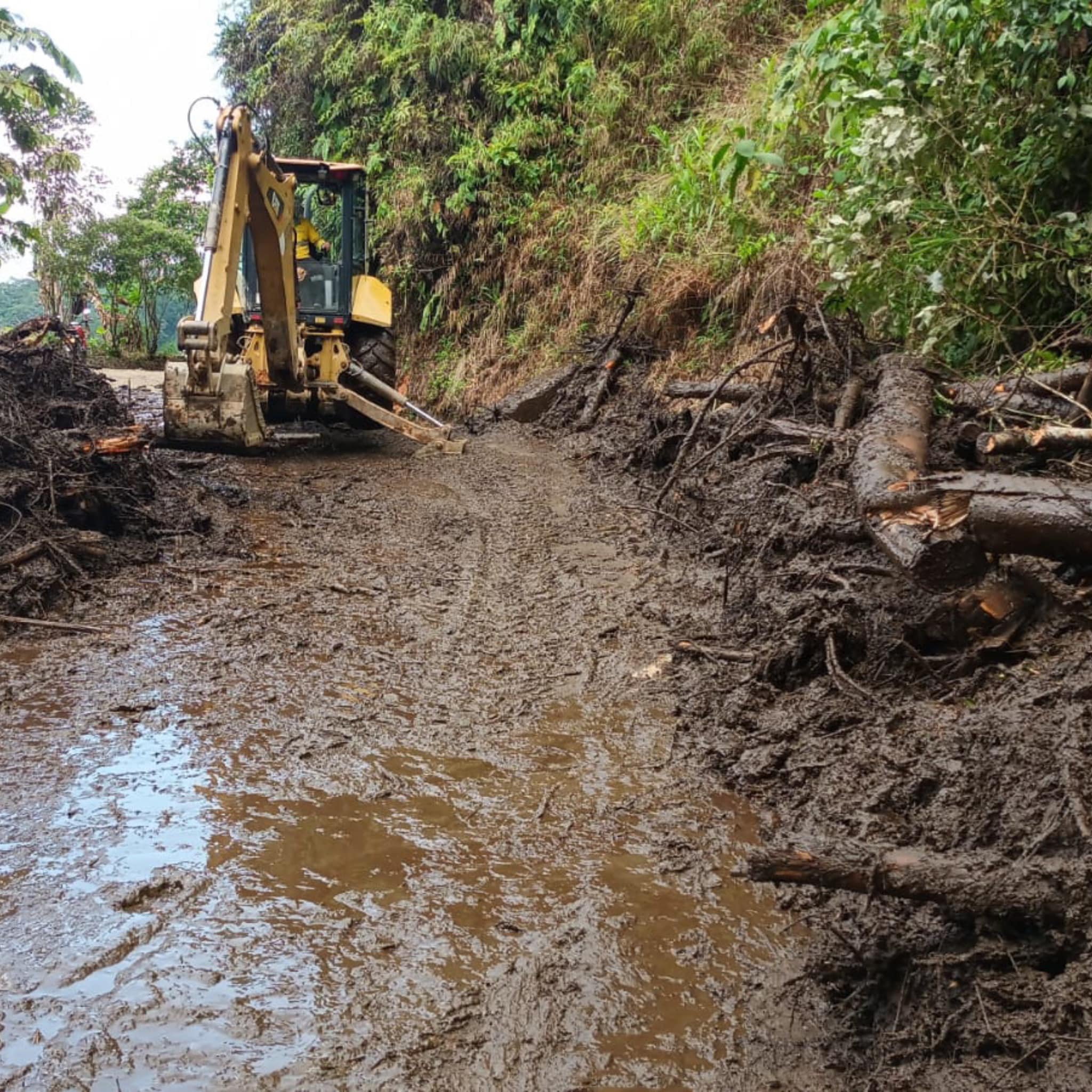 Maquinaria removiendo un derrumbe en la vía Samaná - San Daniel - Pensilvania. Foto: Facebook Promueve Más.