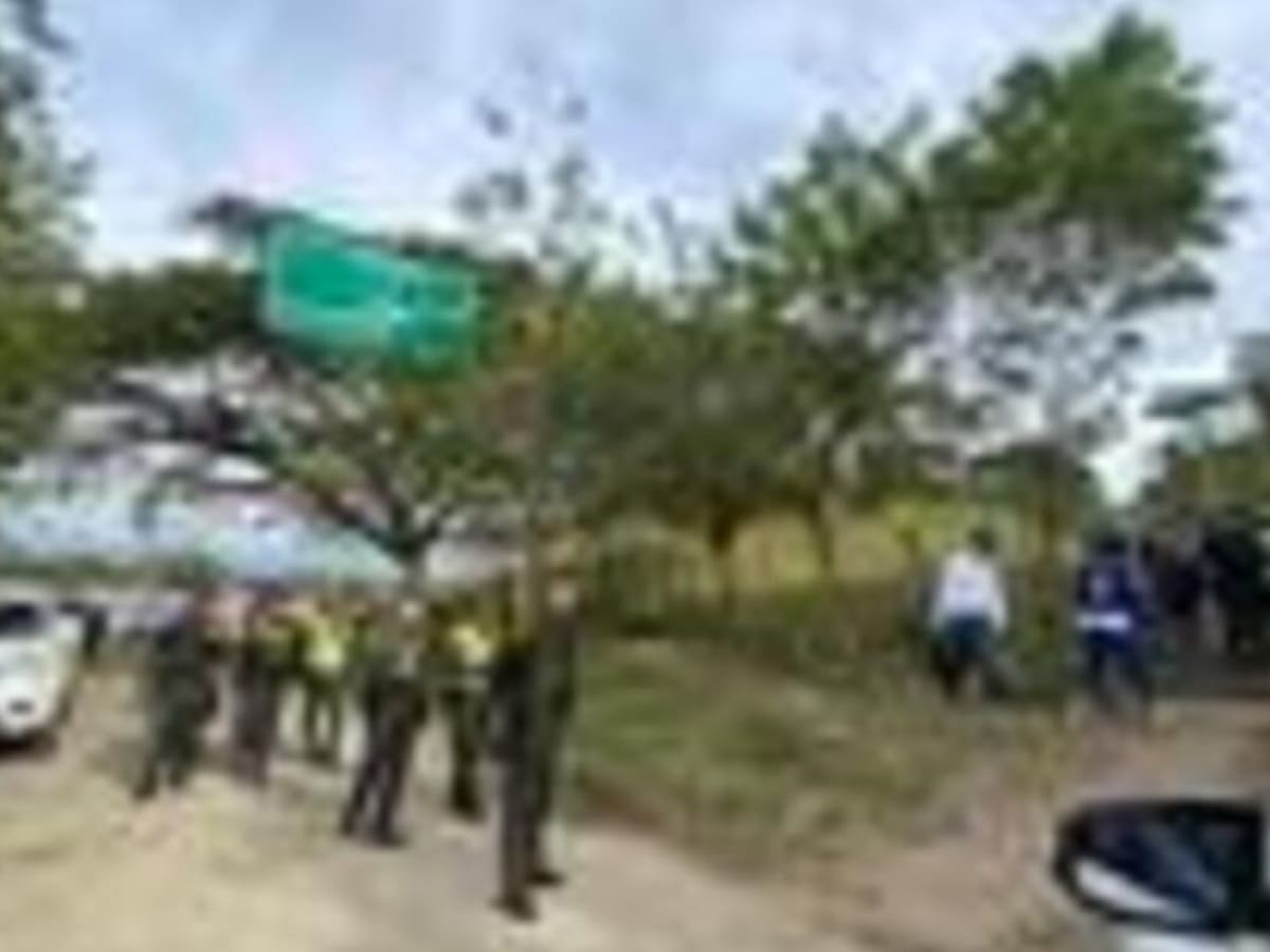 Carder denuncia invasiones y daño ambiental en bosque seco tropical