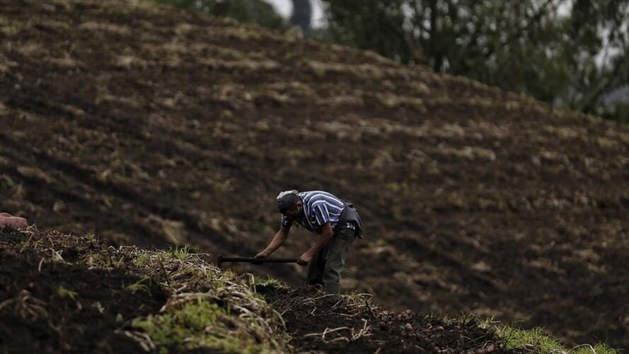 En Antioquia, los sectores más afectados serían el floricultor, caficultor y el industrial con el alza de los aranceles. Foto: Colprensa.