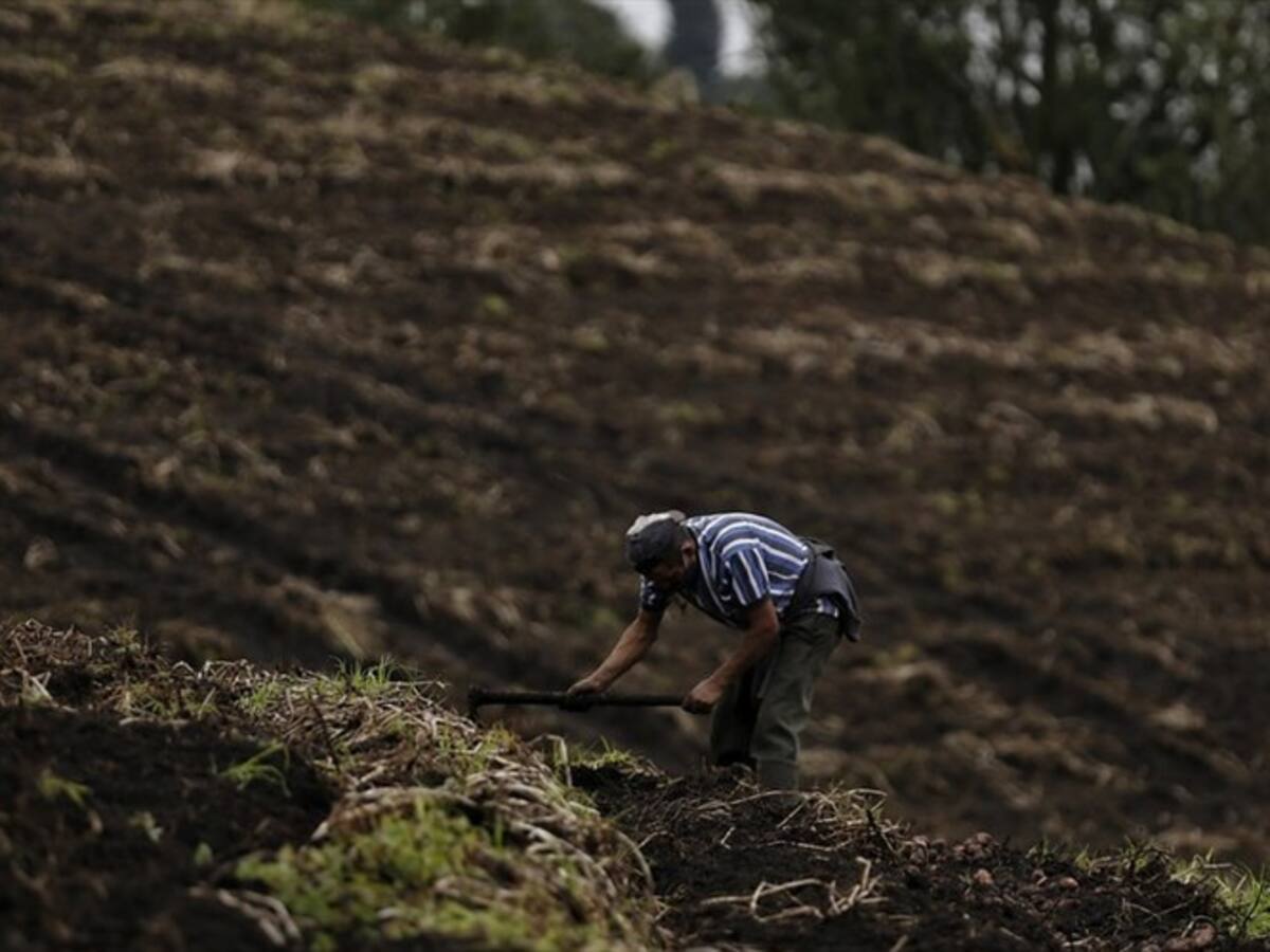 “Incrementar aranceles originaría una gran crisis social en el empleo”: empresarios antioqueños