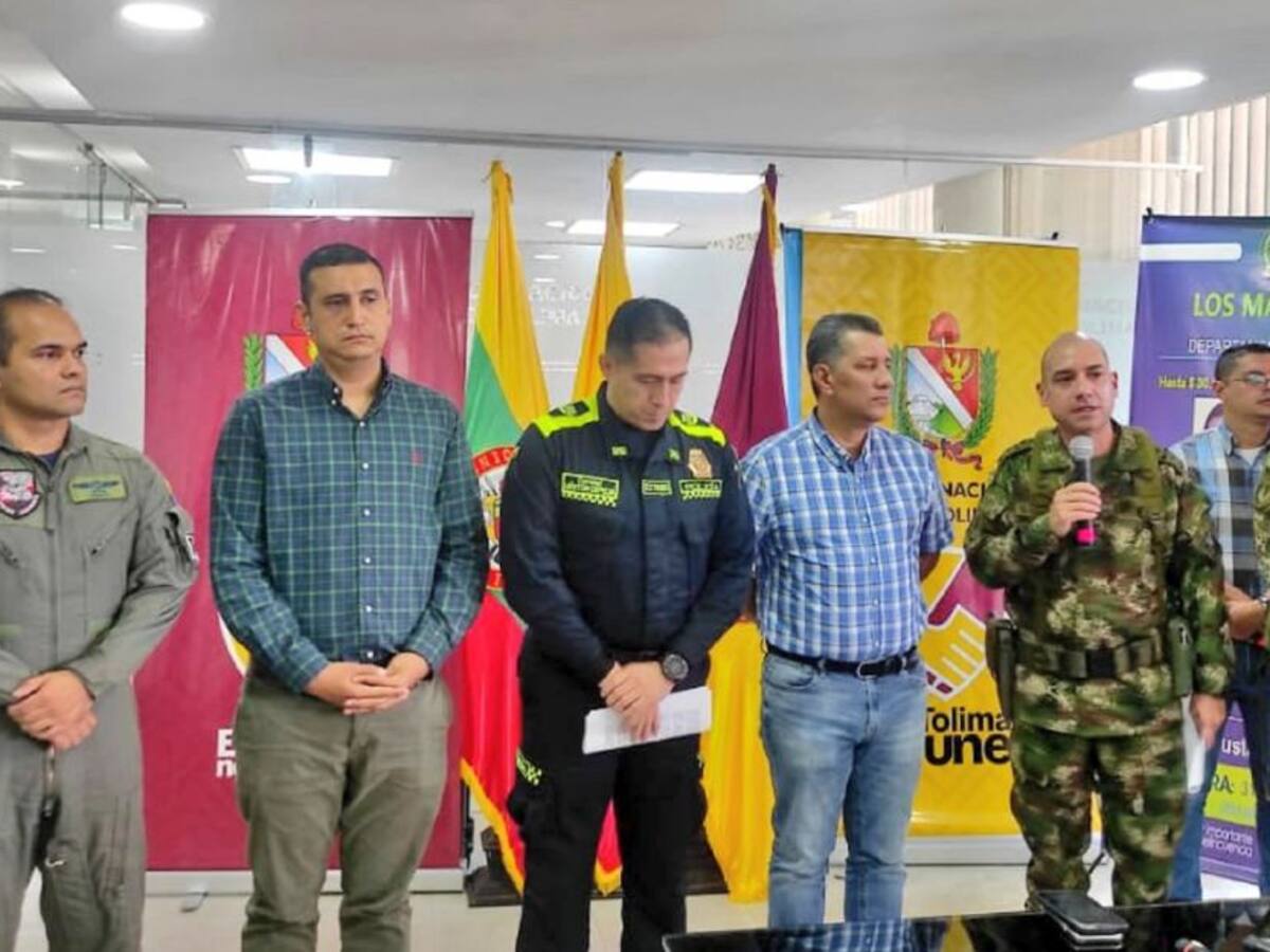 Operativos contra disidencias de las Farc en el sur del Tolima
