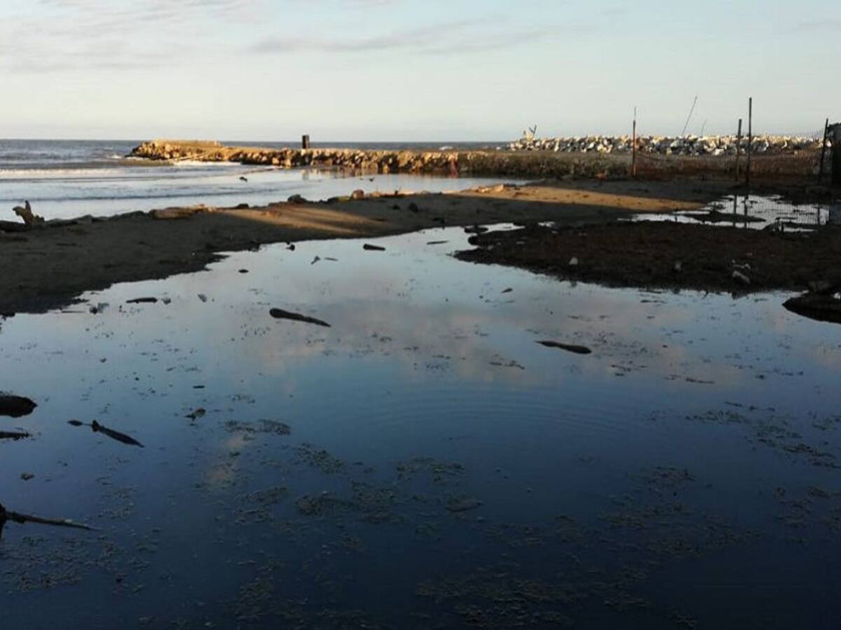 Preocupación por retroceso del mar en playas de Puerto Colombia