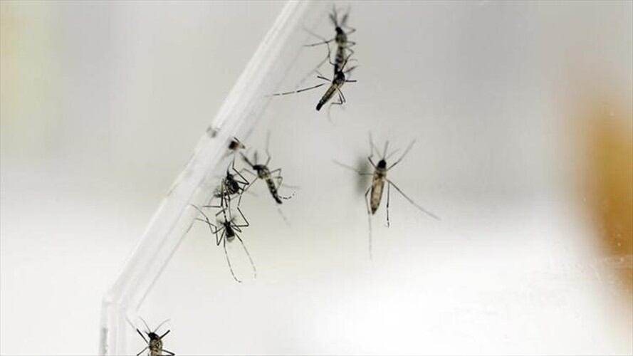 Imagen de referencia. Foto: Agencia EFE