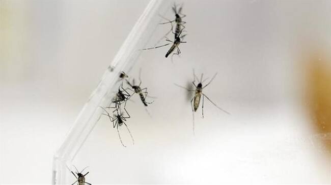 Imagen de referencia. Foto: Agencia EFE