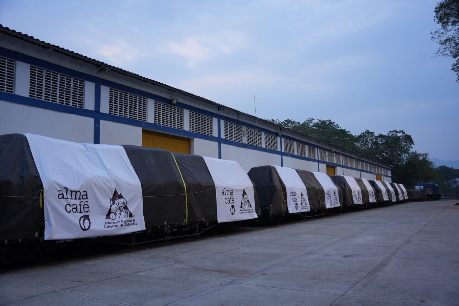 Café en big bags . Federación Nacional de Cafeteros