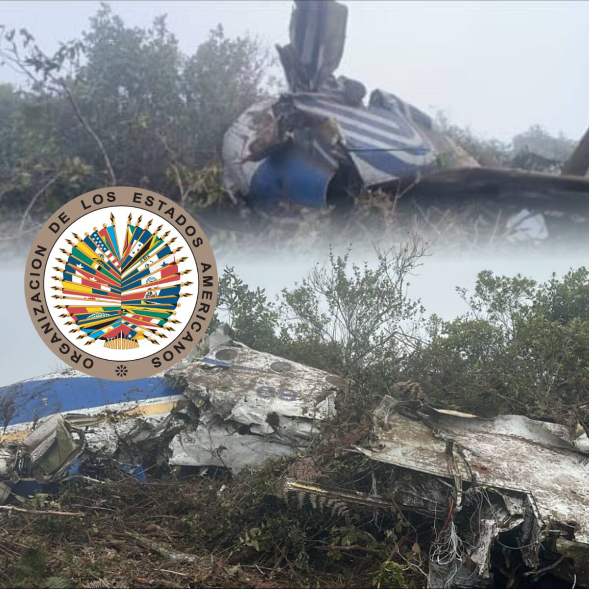 ONU y OEA lamentan accidente aéreo que dejó 15 muertos en Colombia