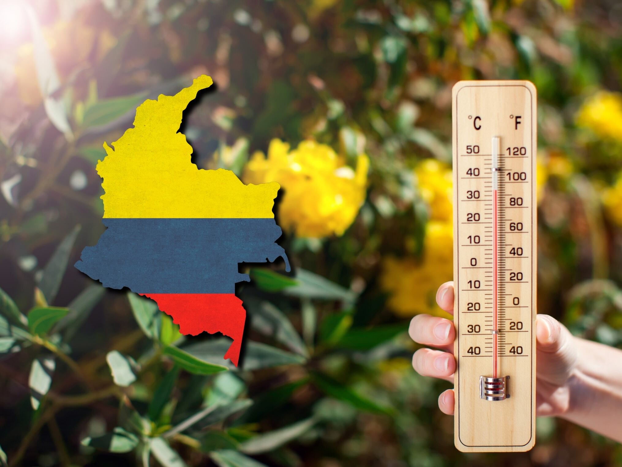Imágenes ilustrativas de una selva, un termómetro y los límites geográficos de Colombia (Crédito: Getty Images)
