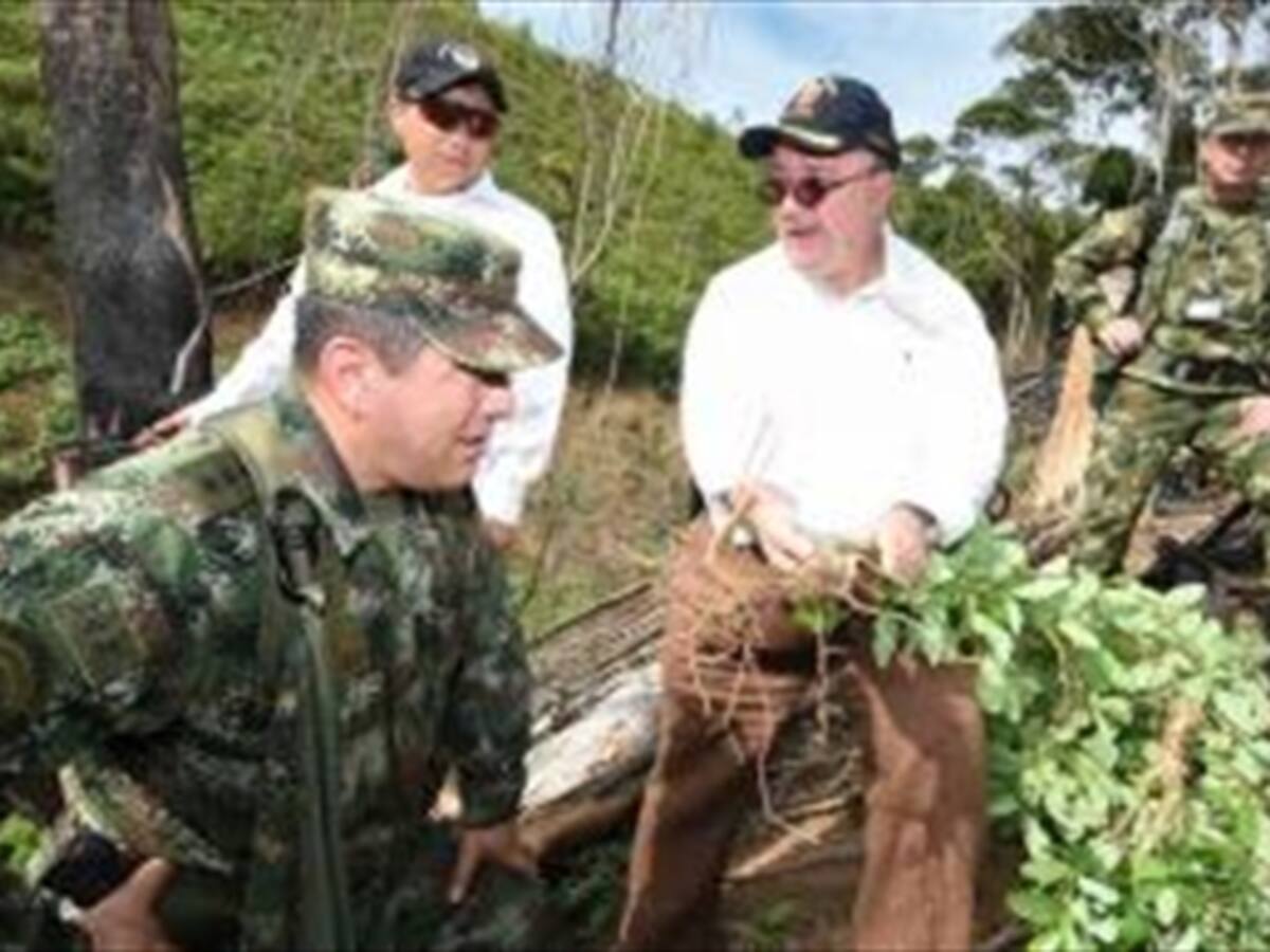 "Colombia no quiere ser casa de cultivos ilícitos": ministro de Defensa