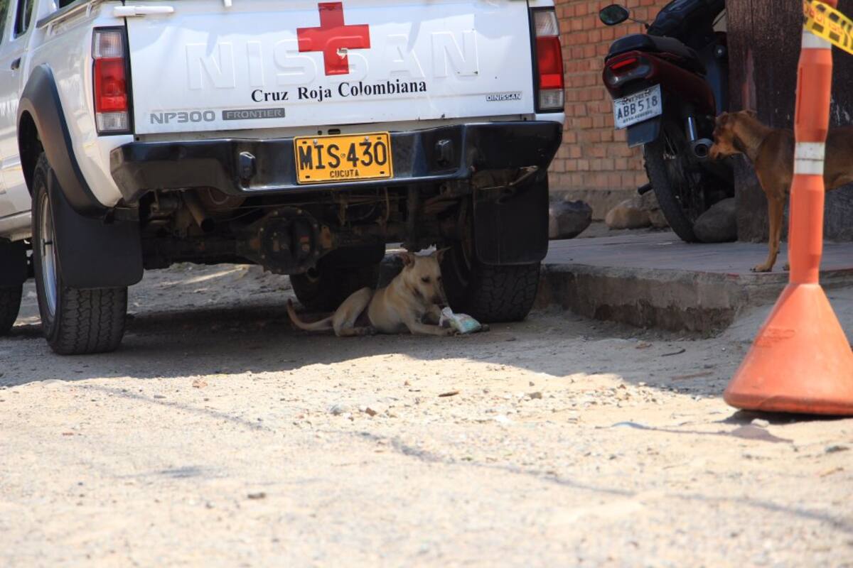 Venezolanos en Albergues de Cúcuta