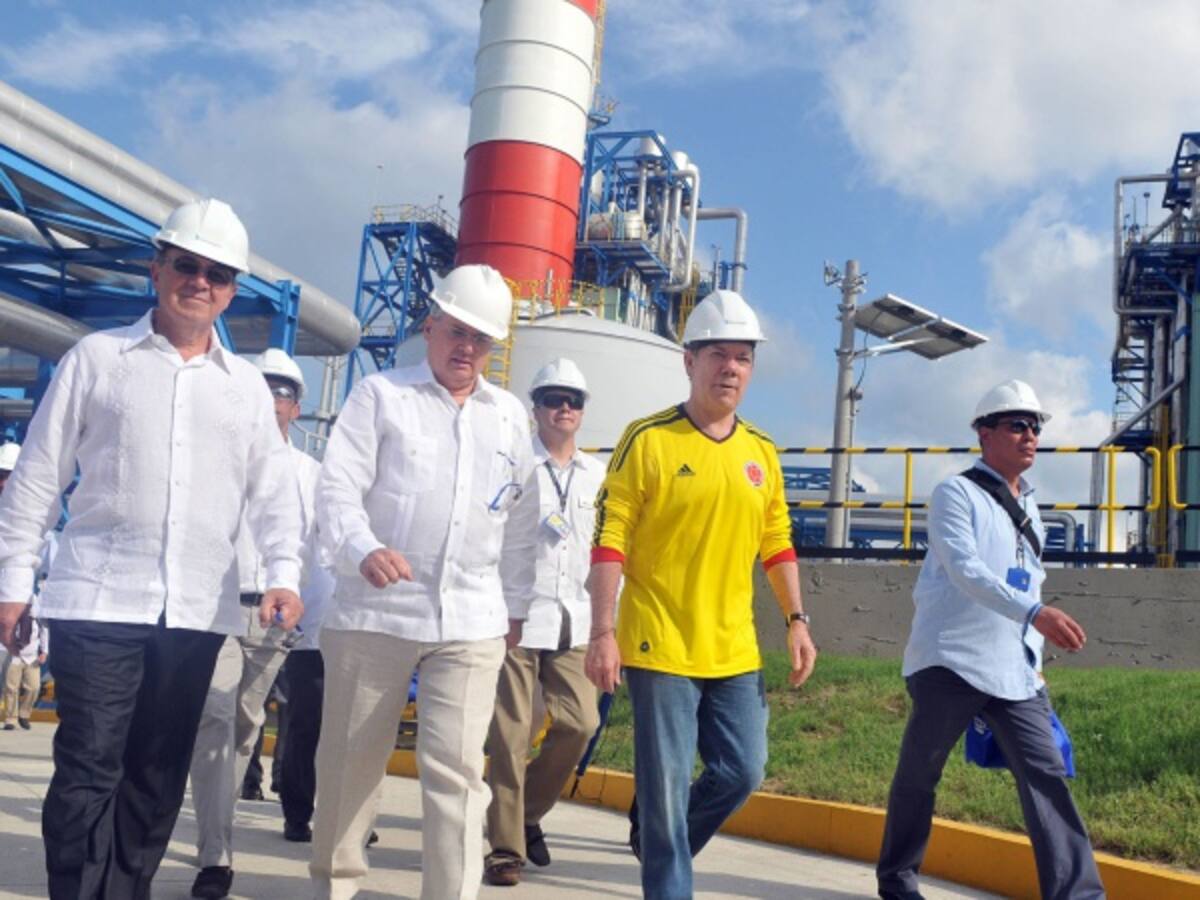 Producción de Termoflores se redujo por daño en la unidad IV