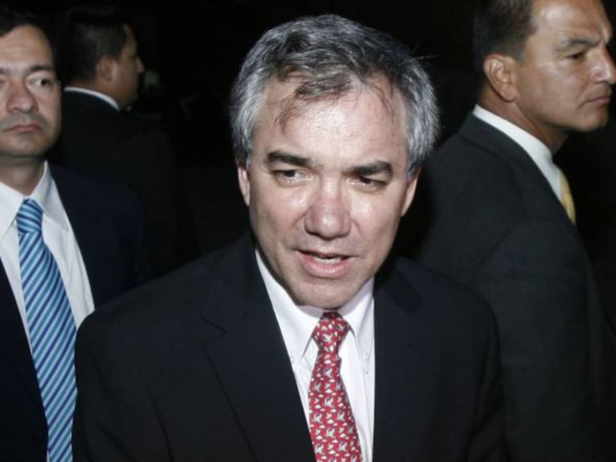 Libre el ex ministro Diego Palacio