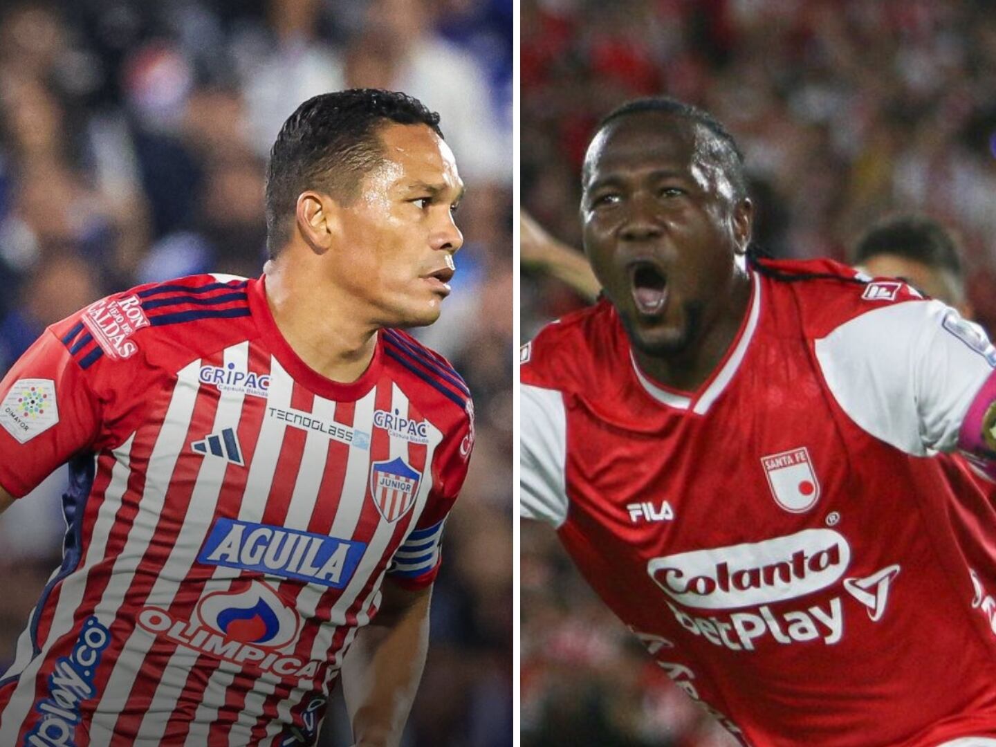 Hugo Rodallega y Carlos Bacca, por el botín de oro de la liga colombiana