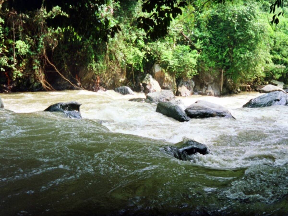 En dos años, se transformaron más de un millón quinientas mil hectáreas de ecosistemas naturales