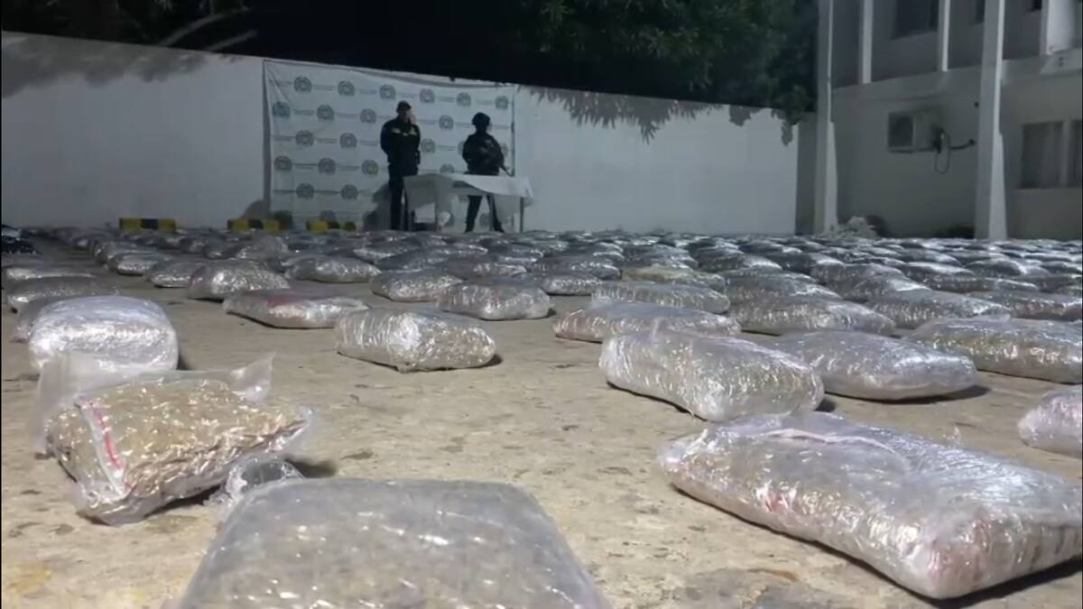 Incautan más de media tonelada de marihuana en Barranquilla