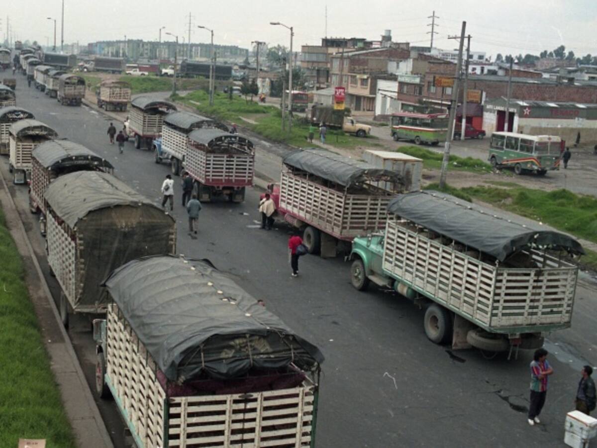 Investigan a 309 propietarios de vehículos por paro camionero