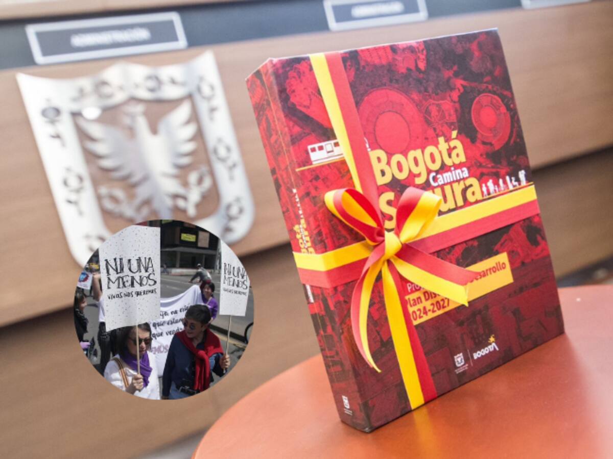 7 artículos nuevos en el Plan Distrital de Desarrollo para prevenir la violencia de género