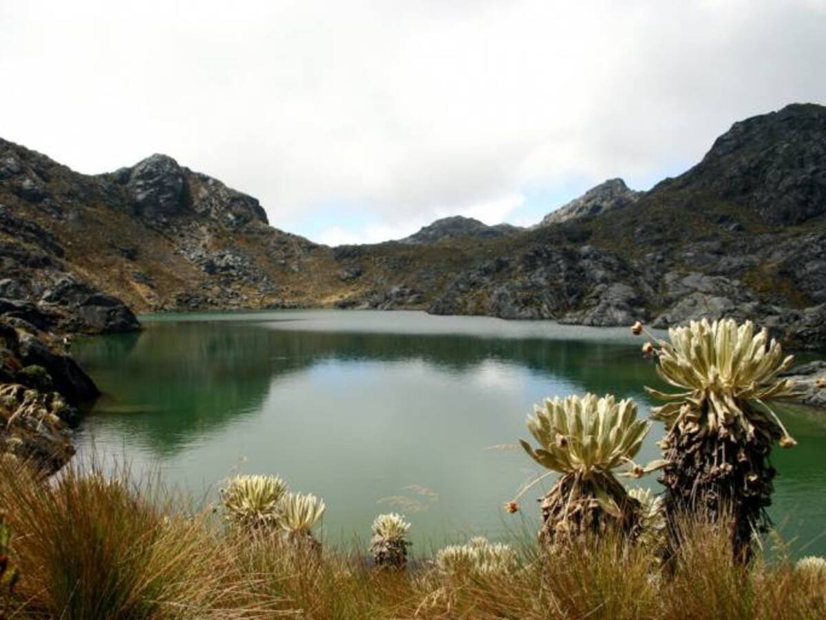 60 títulos mineros están vigentes en la zona del páramo de Santurbán