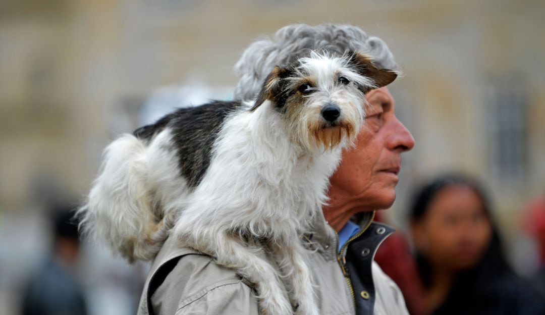 Imagen de referencia 