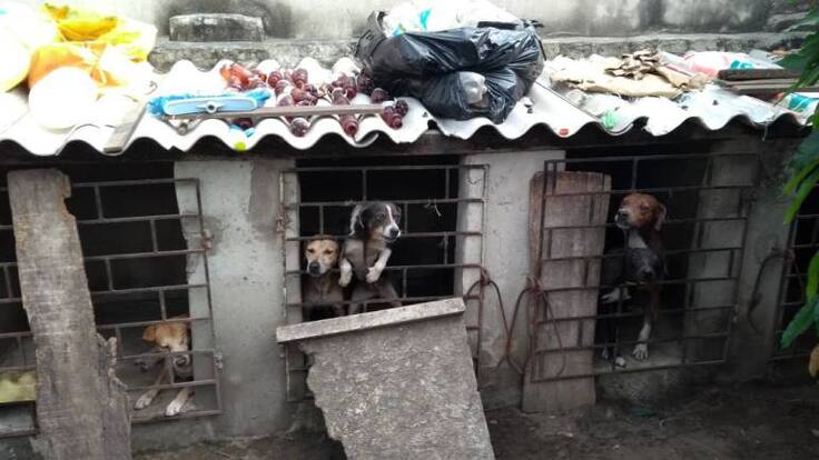 Por falta de voluntad, Barranquilla no tiene Centro de Bienestar Familiar