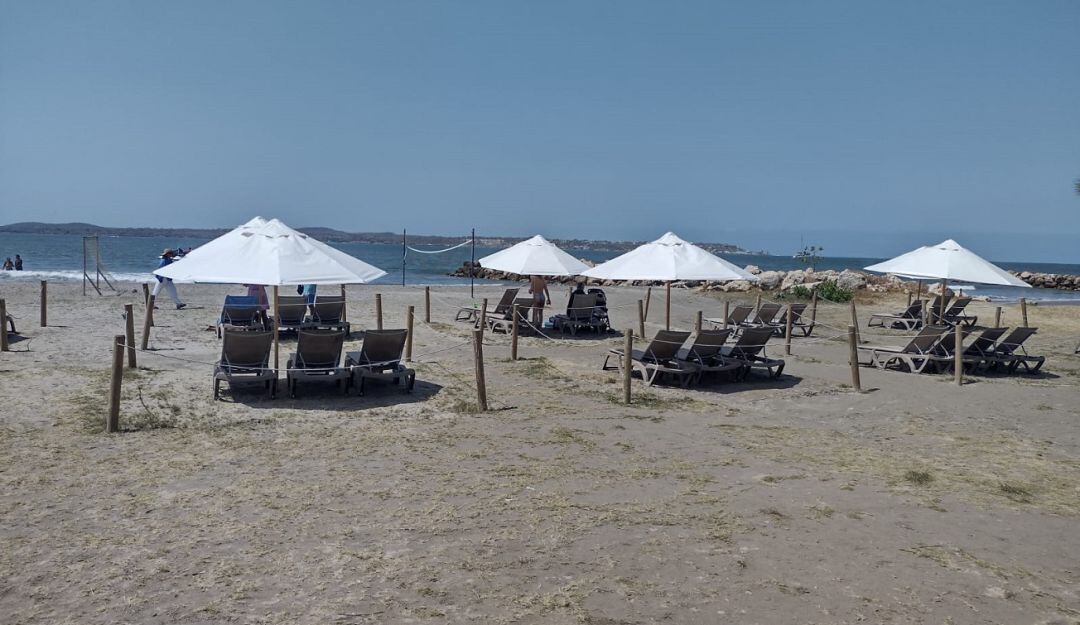 Los comerciantes aunque celebran la herramienta, plantean que la misma debe hacerse en concenso