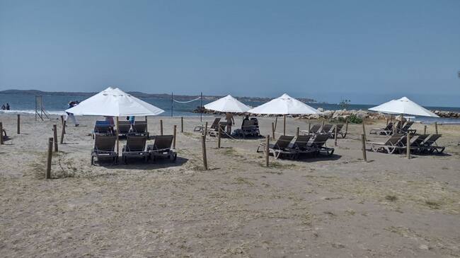 Los comerciantes aunque celebran la herramienta, plantean que la misma debe hacerse en concenso